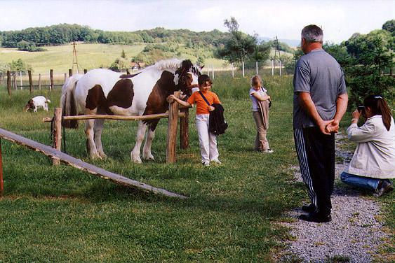 Djeca se fotografiraju kod konja